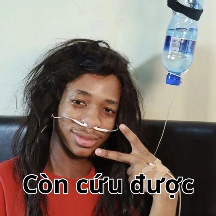 Hình meme hết cứu đáng yêu