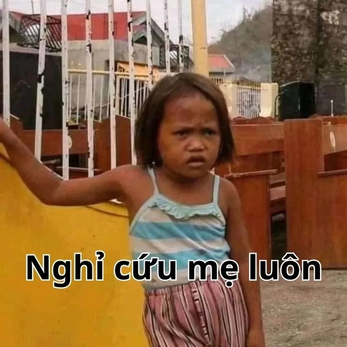 Hình meme hết cứu hài chất lượng