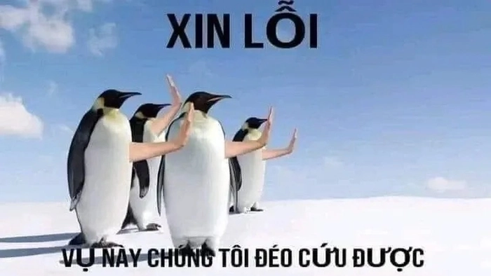 Hình meme hết cứu không thể nhịn cười