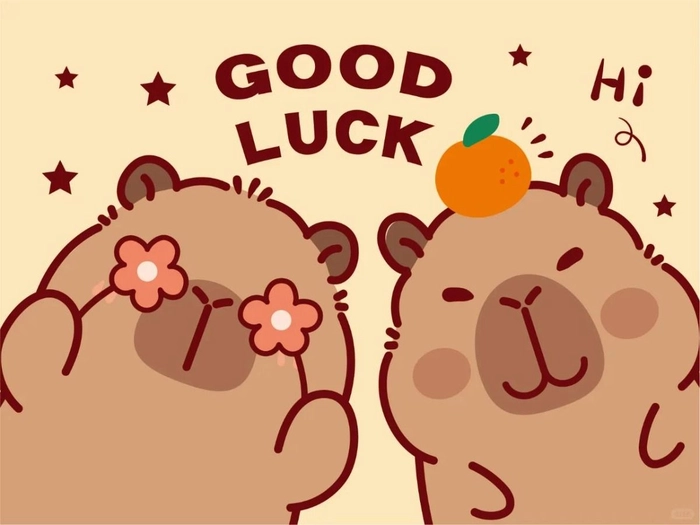Hình nền Capybara cute máy tính đáng yêu