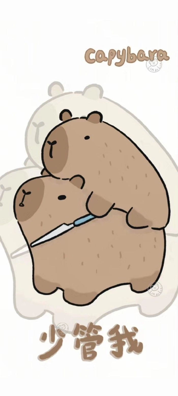 Hình nền Capybara cute vô tri hài hước