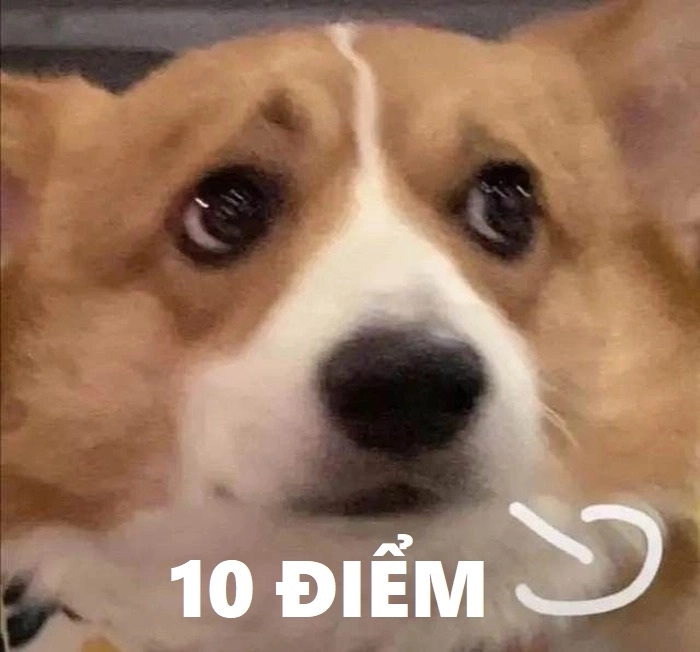 Meme 10 điểm biểu cảm khó đỡ