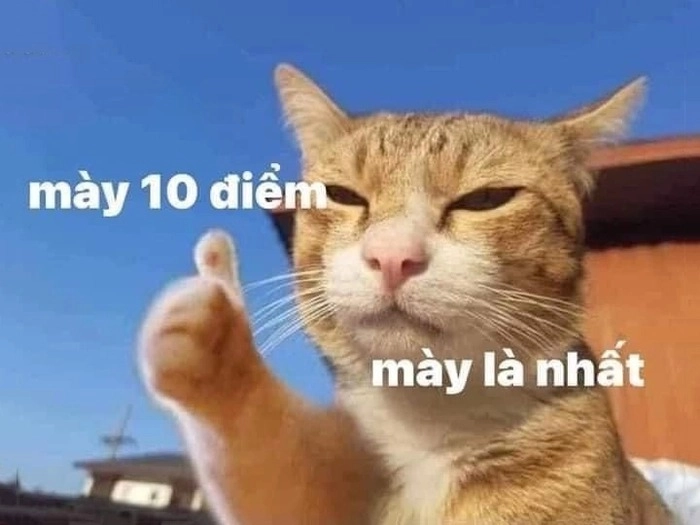 Meme 10 điểm không có nhưng siêu mặn