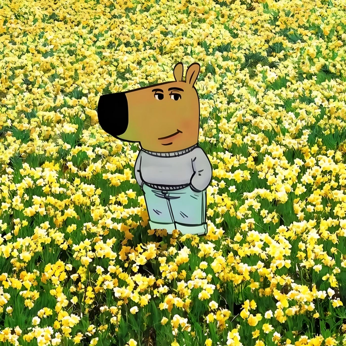 Meme Chill Guy chế vui nhộn