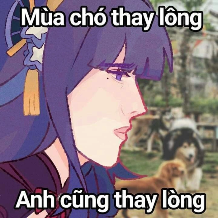 Meme Genshin Impact đáng yêu bá đạo