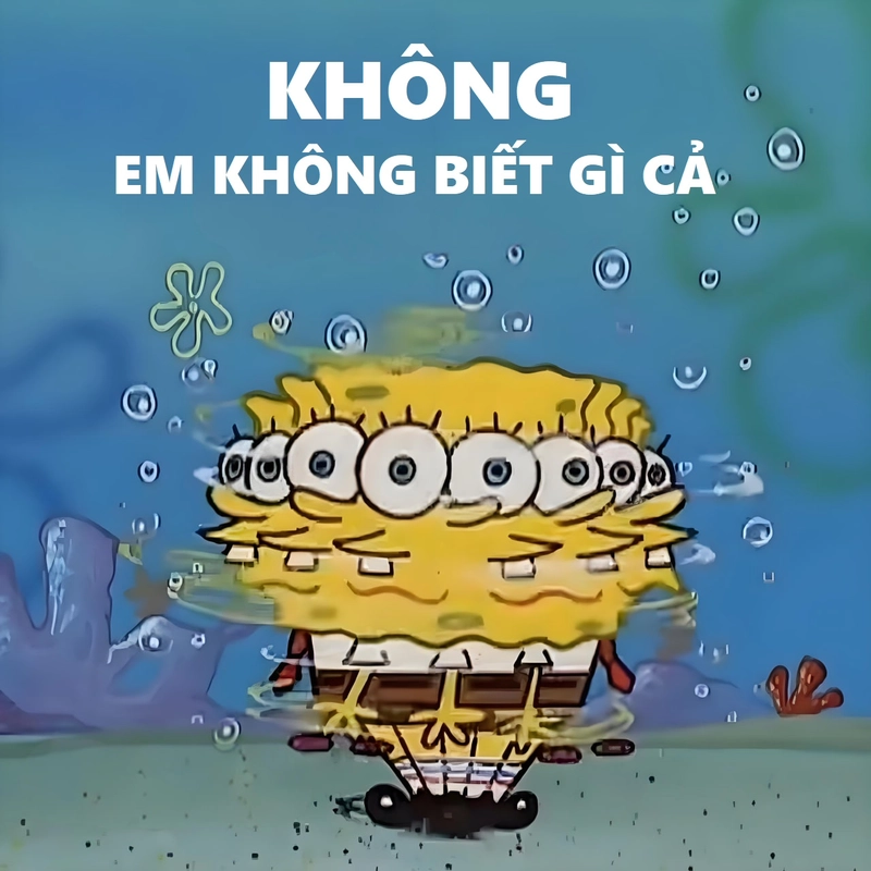 Meme Spongebob dễ thương ngộ nghĩnh