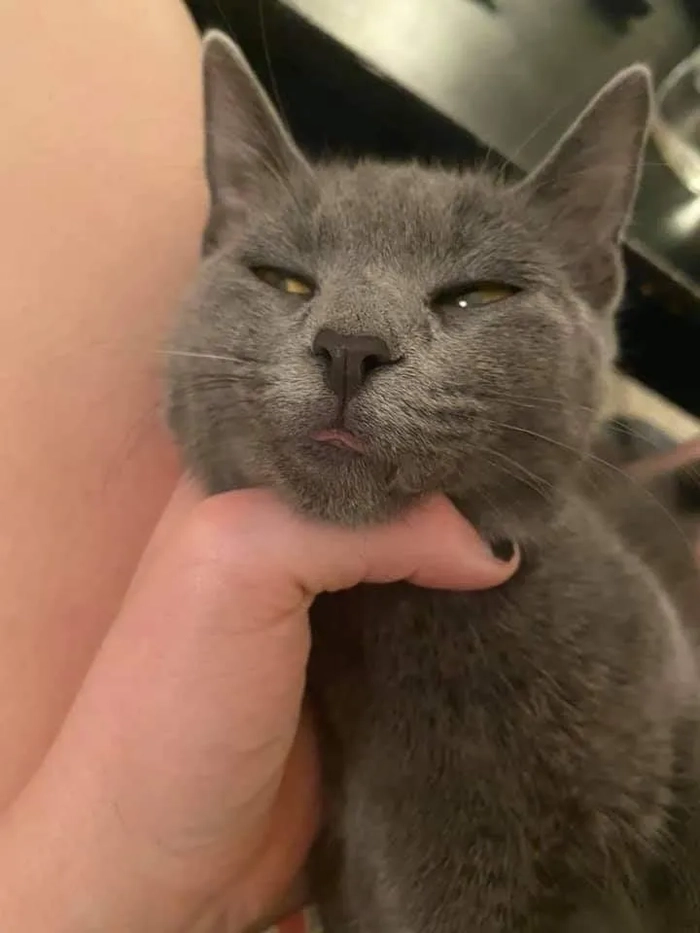 Meme bóp cổ thằng bé siêu lầy