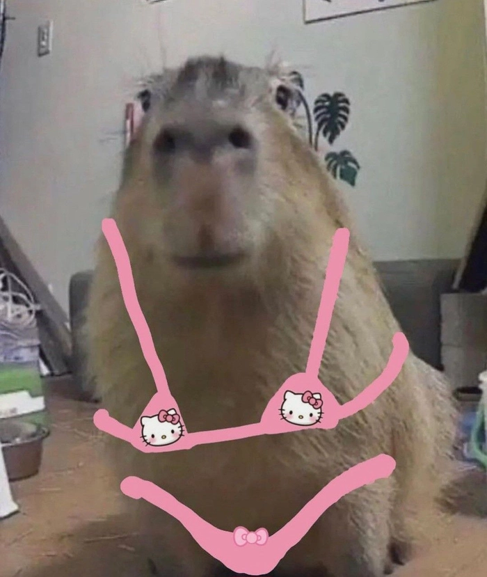Meme capybara cầm dao hài khó đỡ