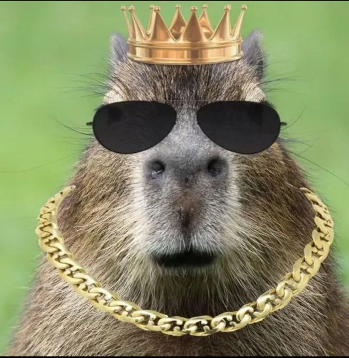 Meme capybara siêu buồn cười