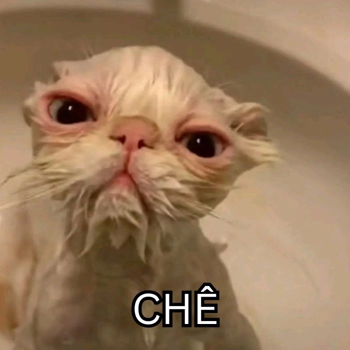 Meme chê bai hài hước trên mạng xã hội