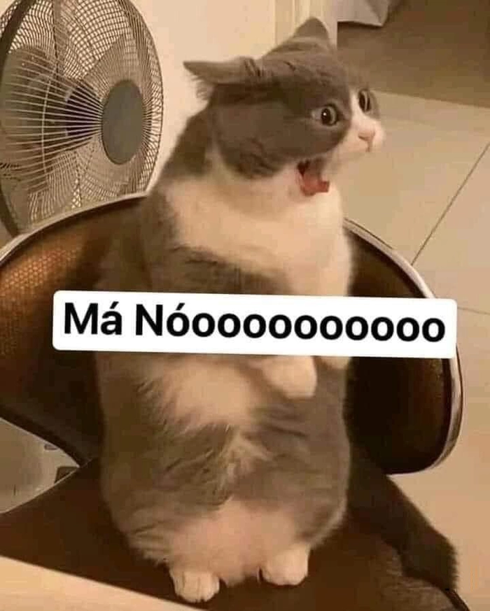 Meme chửi hài lầy lội chất chơi
