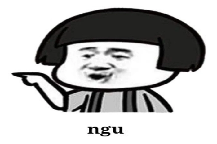 Meme chửi ngu dốt lầy lội