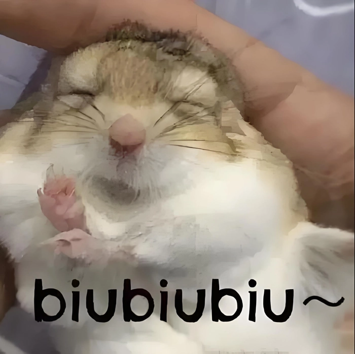 Meme chuột hamster hài độc lạ và sáng tạo