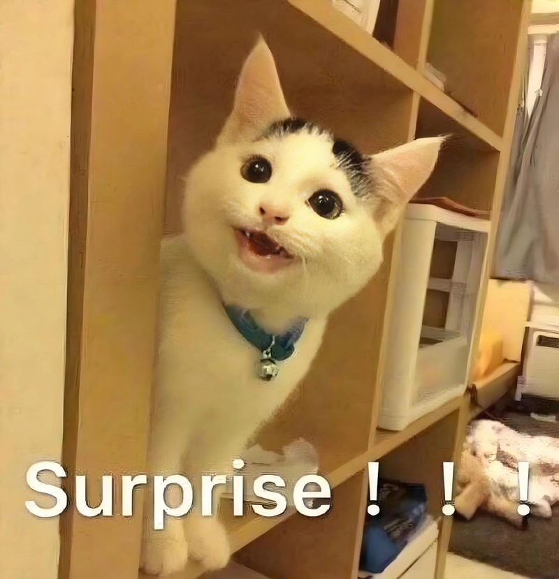 Meme đáng yêu đáng nhớ cho avatar TikTok