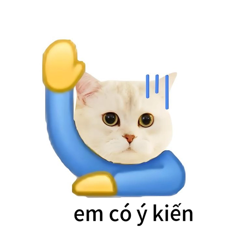 Meme đáng yêu dí dỏm giúp avatar thêm nổi bật