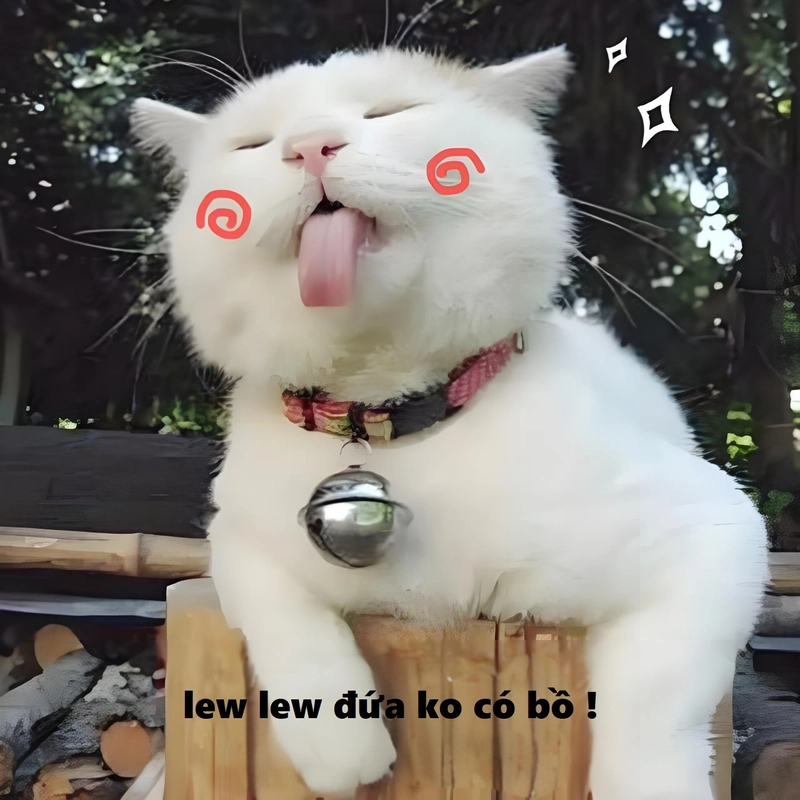 Meme đáng yêu ngộ nghĩnh cực hút mắt