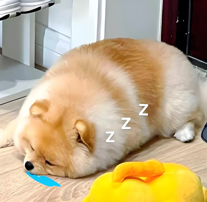 Meme đáng yêu vui tươi dành cho avatar Facebook