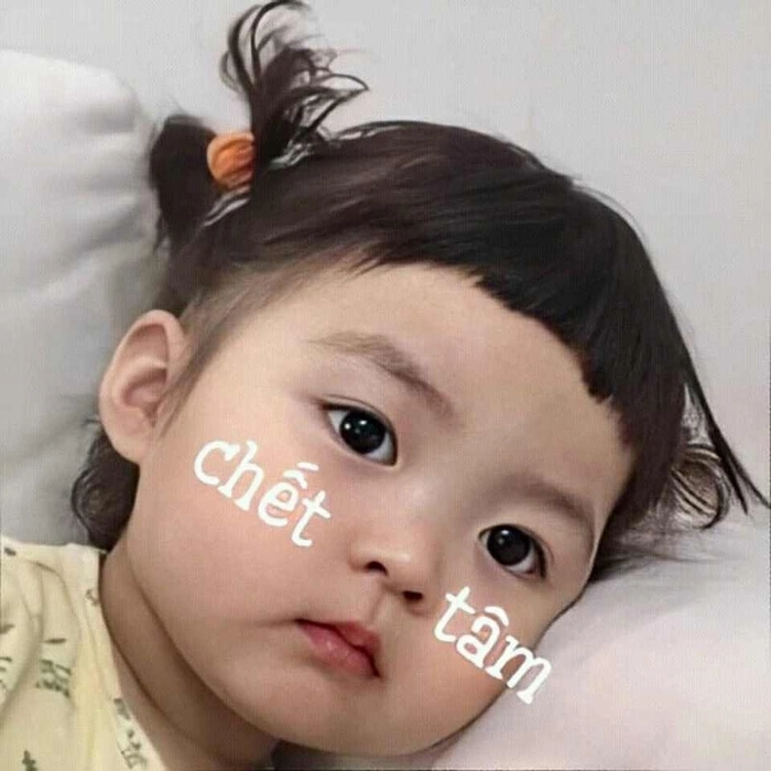 Meme em bé dễ thương làm ai cũng thích