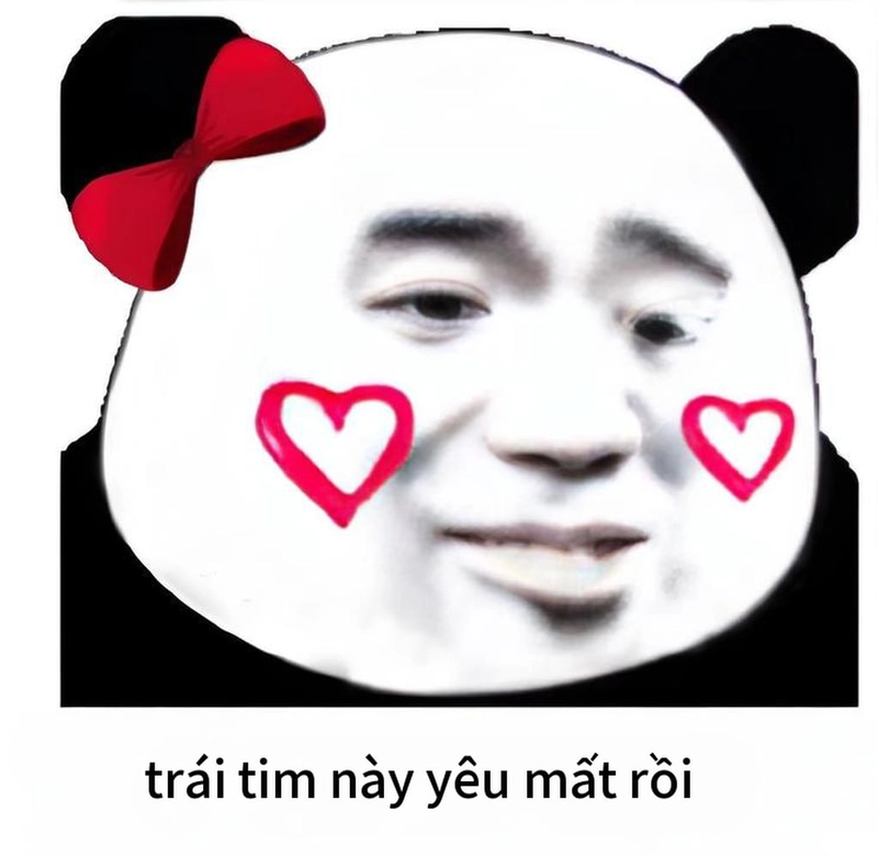 Meme gấu trúc bắn tim đáng yêu nhất