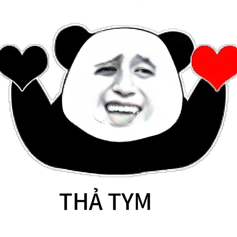 Meme gấu trúc bắn tim siêu ngầu