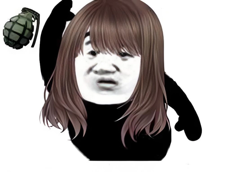 Meme gấu trúc slay biểu cảm hài