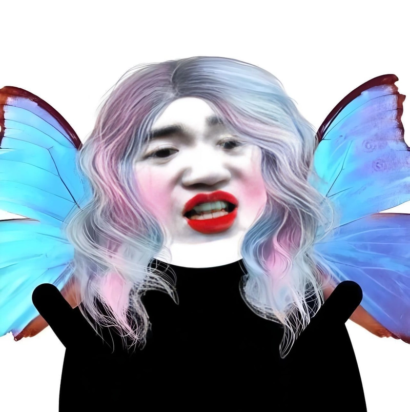 Meme gấu trúc slay chất lừ cho điện thoại