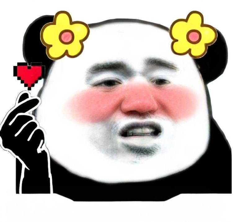 Meme gấu trúc slay chất ngầu dễ thương