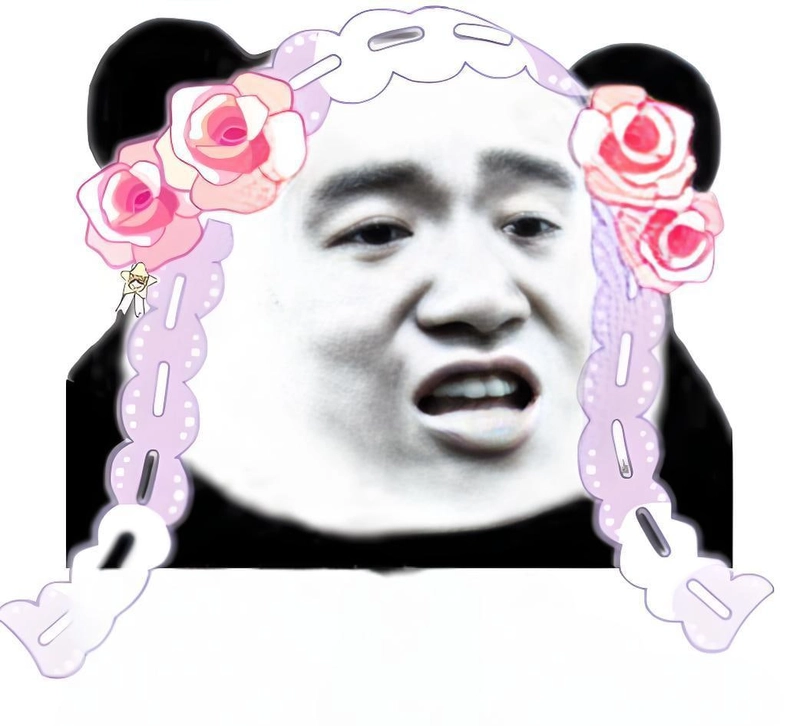 Meme gấu trúc slay troll hài hước