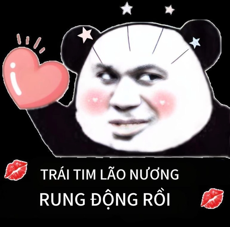 Meme gấu trúc thả tim đáng yêu