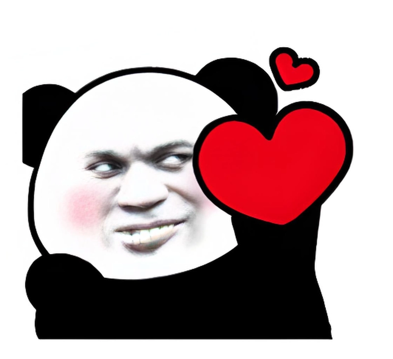 Meme gấu trúc yêu biểu cảm hài hước