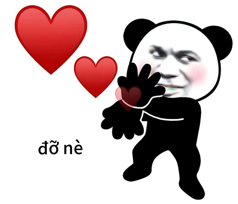 Meme gấu trúc yêu ngọt ngào