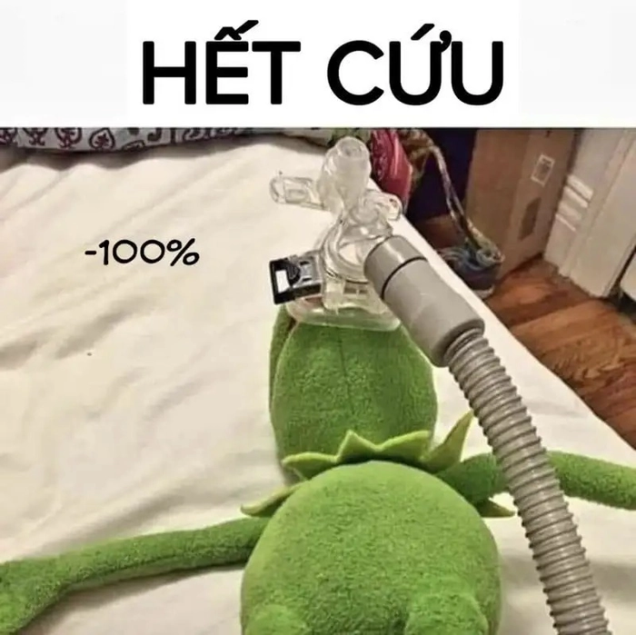Meme hết cứu hot nhất hiện nay