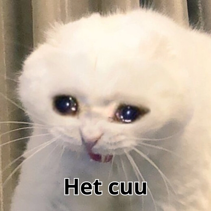 Meme hết cứu nổi bật cực hài
