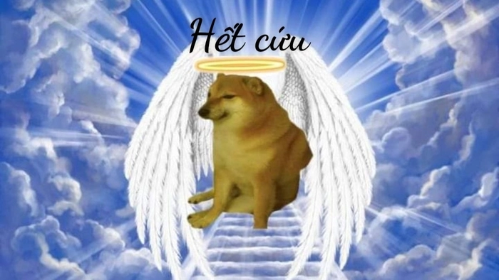 Meme hết cứu nổi đình nổi đám