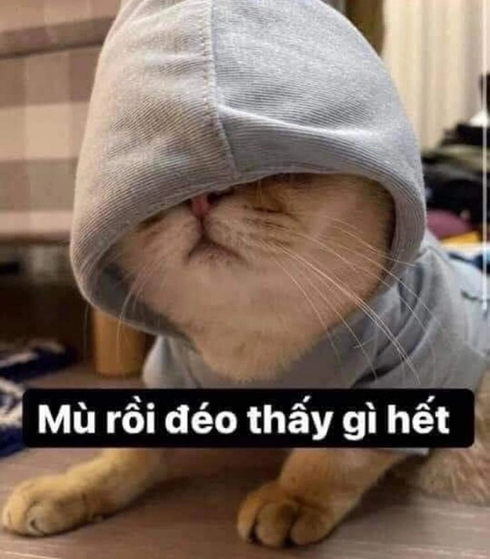 Meme hết cứu nổi tiếng mạng xã hội