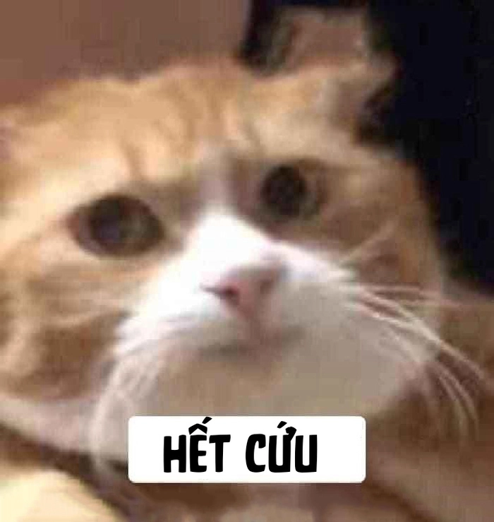 Meme hết cứu siêu lầy lội