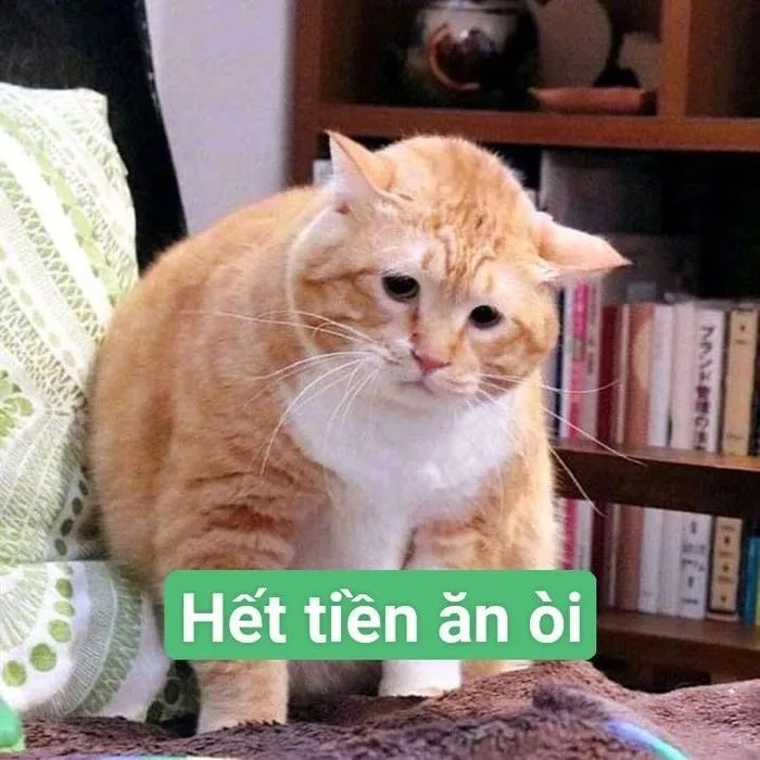 Meme không có tiền hài bựa vui nhộn