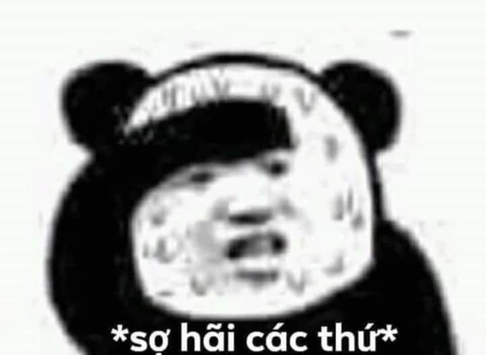 Meme không sợ troll vui vẻ