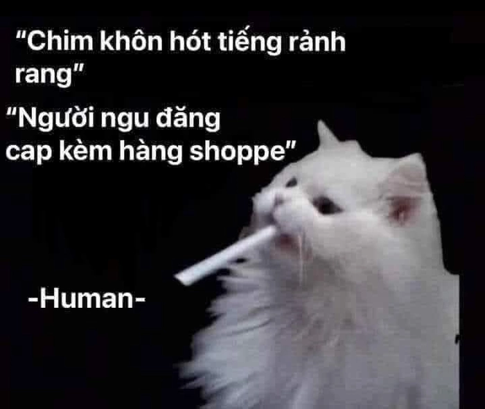 Meme ngầu bá đạo khiến bạn cười ngất