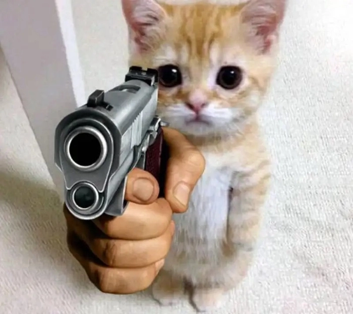 Meme ngầu siêu chất khiến ai cũng mê