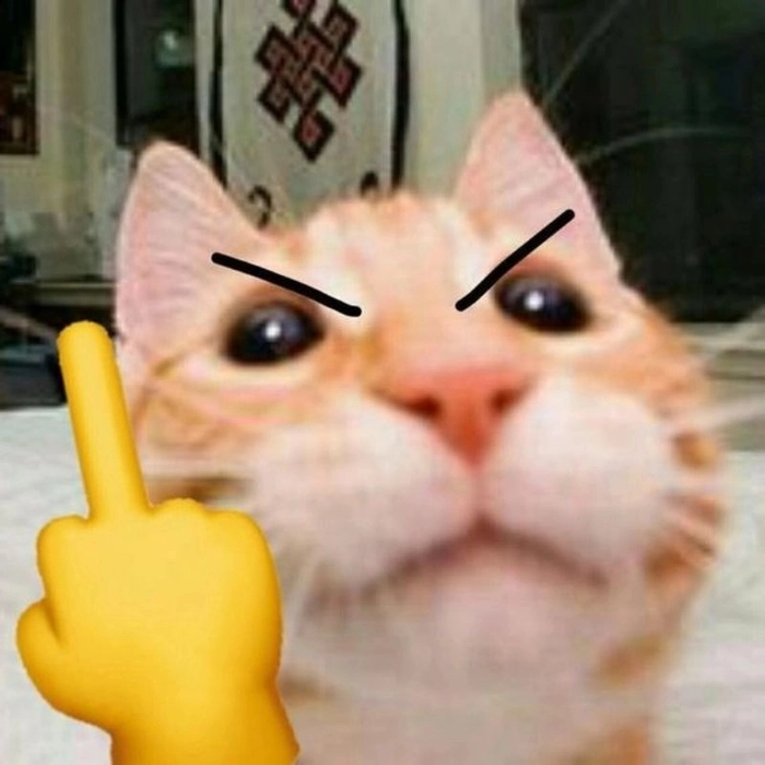 Meme ngón giữa cực kỳ bá đạo sáng tạo