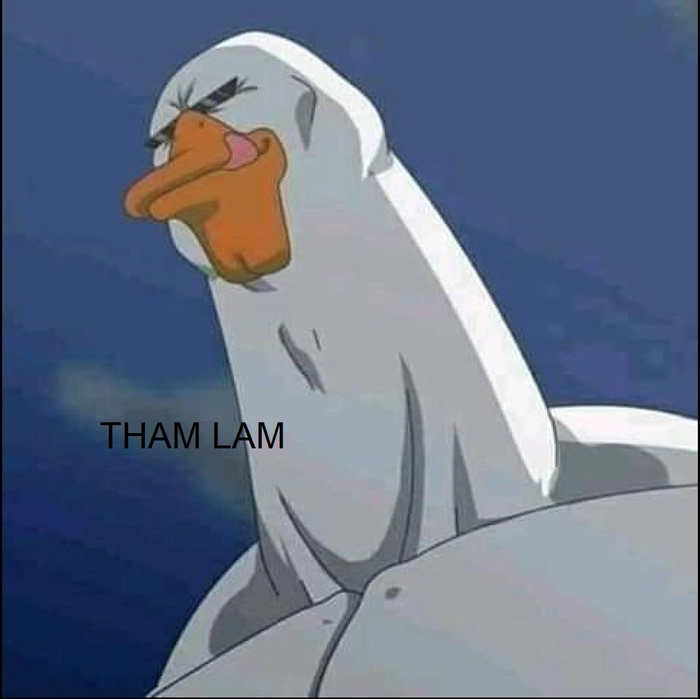 Meme tham lam đáng yêu