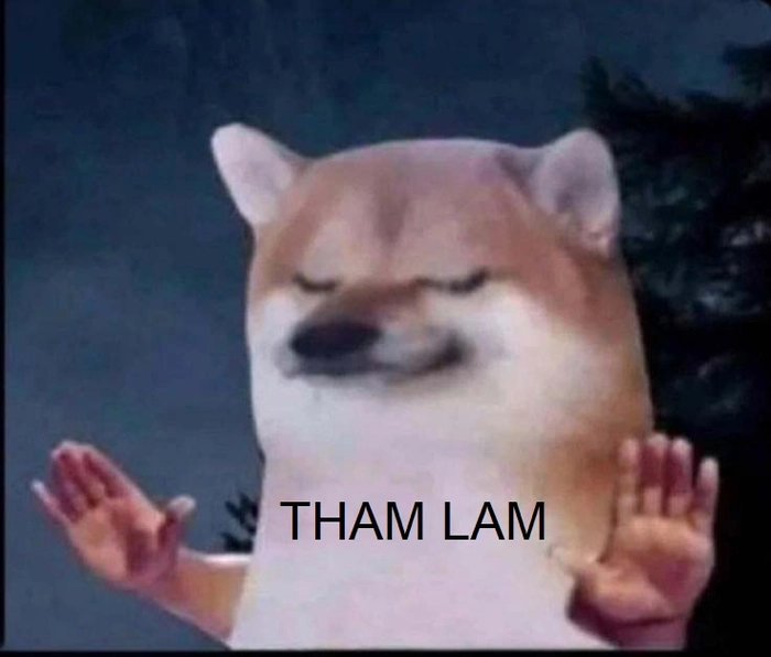 Meme tham lam hài hước dễ thương
