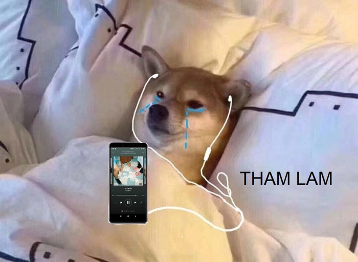 Meme tham lam hài hước