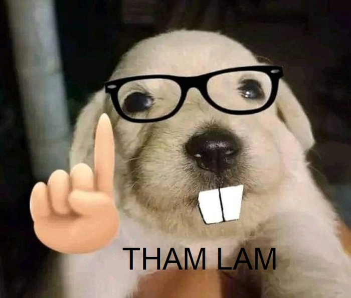 Meme tham lam lan truyền mạnh