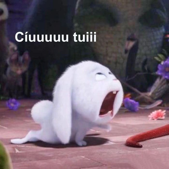 Meme thỏ Snowball bá đạo