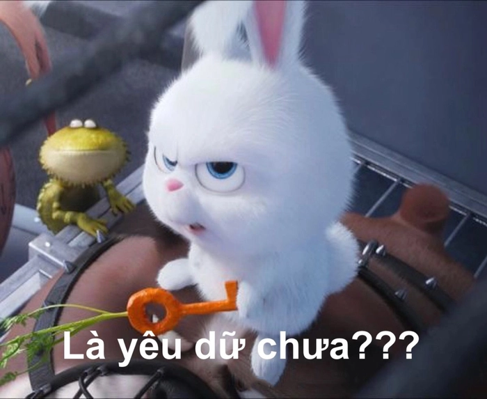 Meme thỏ Snowball cực chất