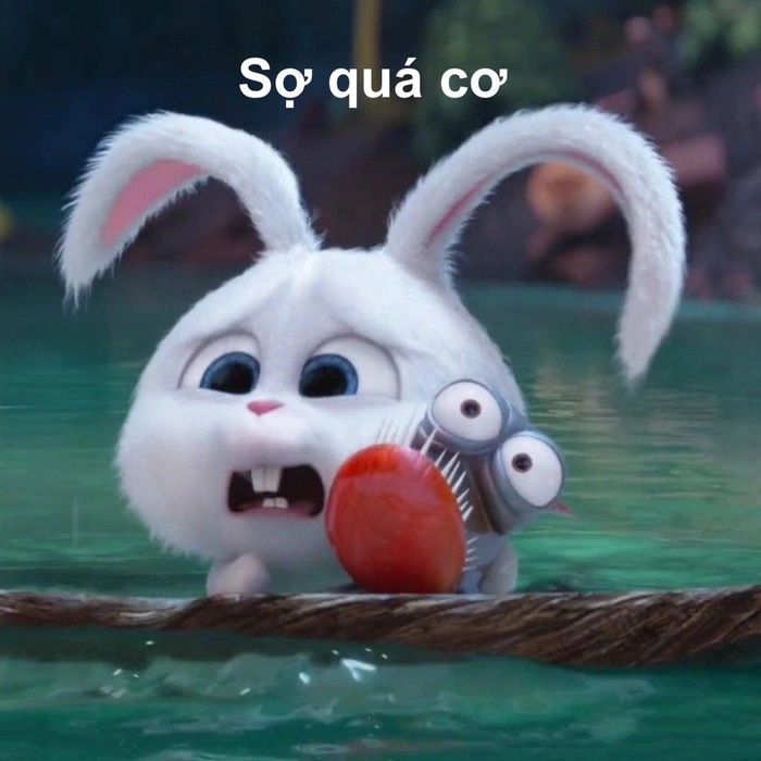 Meme thỏ Snowball hài bá đạo