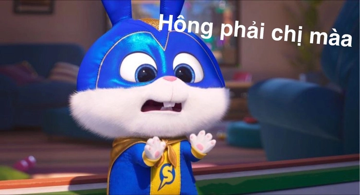 Meme thỏ Snowball troll vui