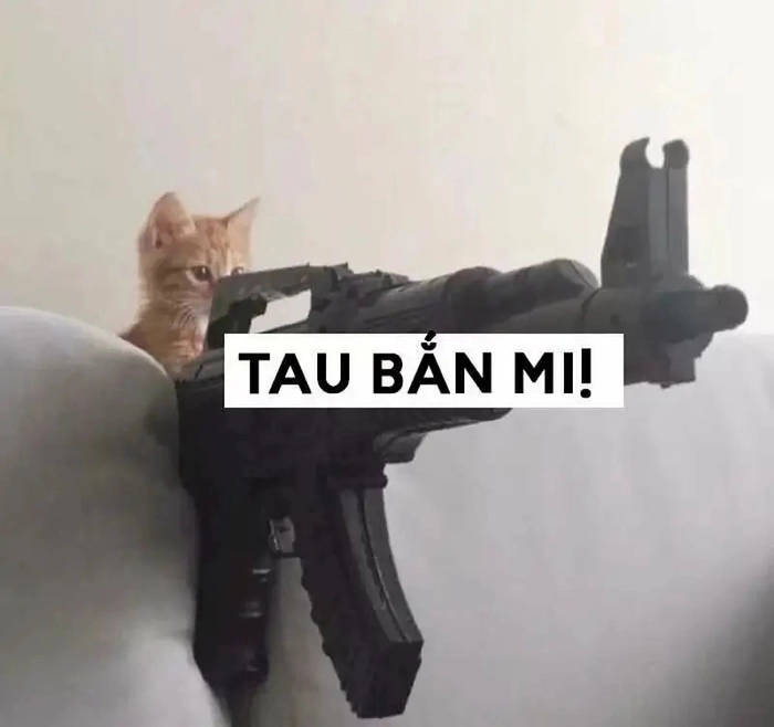 Ngầu meme cực kỳ ấn tượng độc lạ